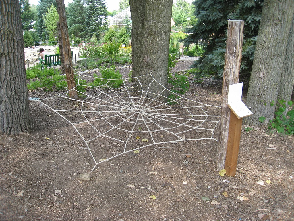 Matthaei Botanical Gardens 2010 0295.jpg - The Gaffield Childrens Garden has lots of fun things for the kids to do... including a large spider web to crawl on... don't get eaten by the spider!